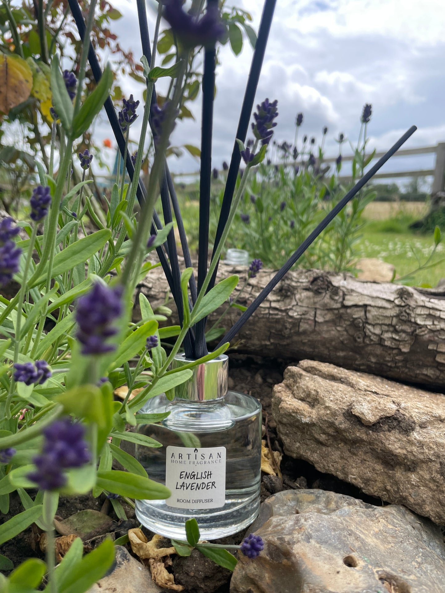 ENGLISH LAVENDER