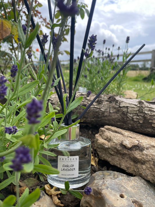 ENGLISH LAVENDER
